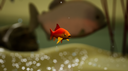 Fish Game screenshot 3
