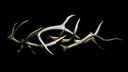 Discovery splash banner for 「𐂂」ノhannibal . ݁ᛪ༙ Discord server