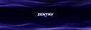 Discovery splash banner for Zentry Discord server