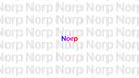 Discovery splash banner for Norp Inc. Discord server