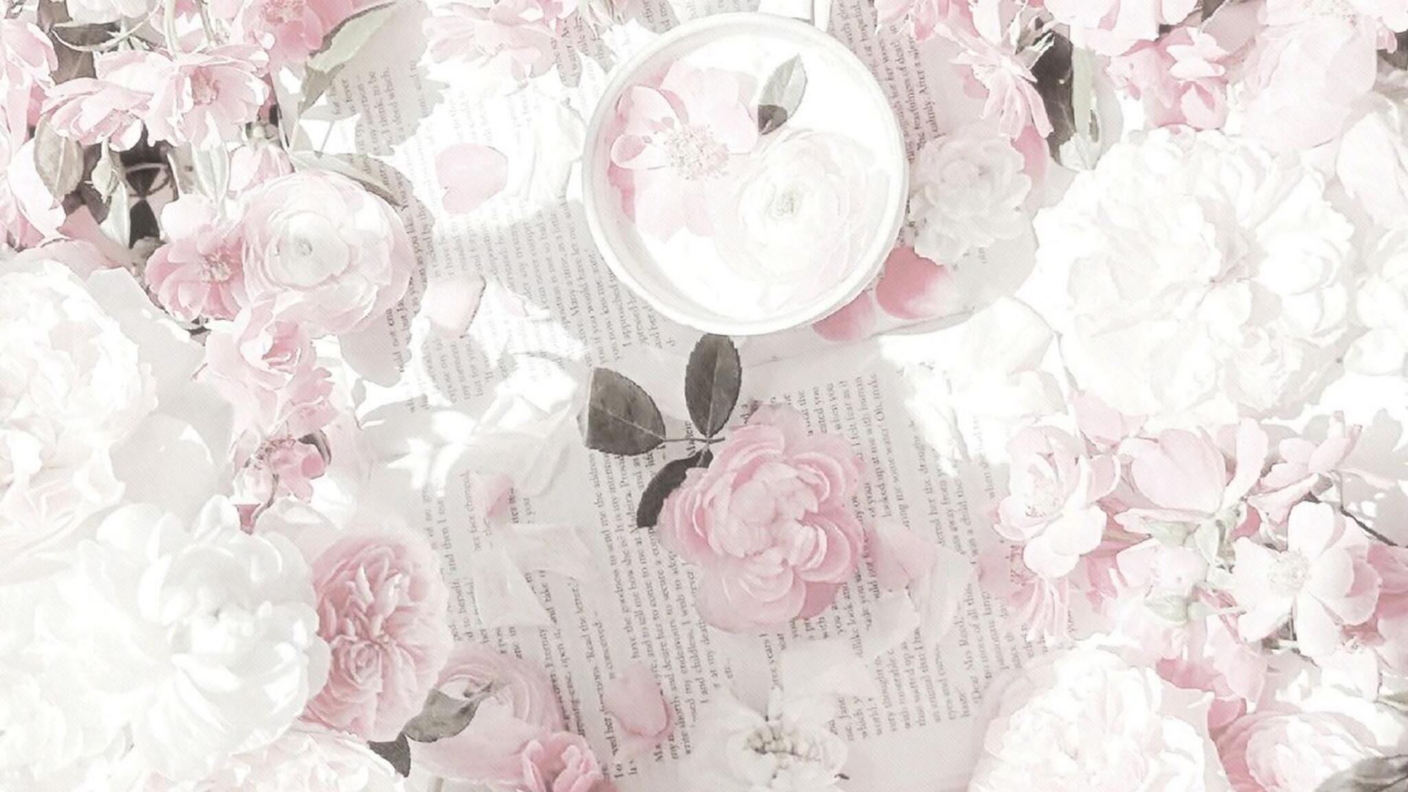Discovery splash banner for 🎀 Ask To Dm ^⩊^⟆ Cutecats﹒Social﹒Active﹒Make friends﹒Vcs﹒Chatting﹒Chat﹒Ask2DM﹒Chill﹒non dating Discord server
