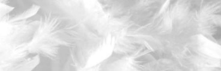 Discovery splash banner for π ΰ£ͺΛγππππ¦γπ©πͺγβΛ Discord server
