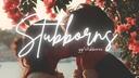 Discovery splash banner for Stubborns™ • Chill • Social • Gaming • gws Discord server