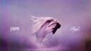 Discovery splash banner for JENNIE | Fallen Angel Discord server