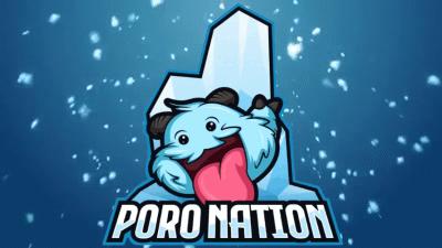 Discovery splash banner for Poro Nation Discord server