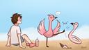 Discovery splash banner for Flamingo Community Discord server