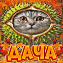 Discovery icon for 🥥 〡Дача Зейна〡🌴 Discord server