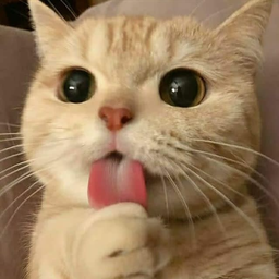 Discovery icon for Beetle SMP | Comeback! Discord server