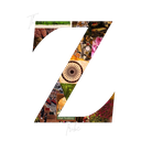 Discovery icon for š§šµš² š š§šæš¶šÆš² Discord server