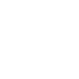 Discovery icon for Insula: Bounty Royale Discord server